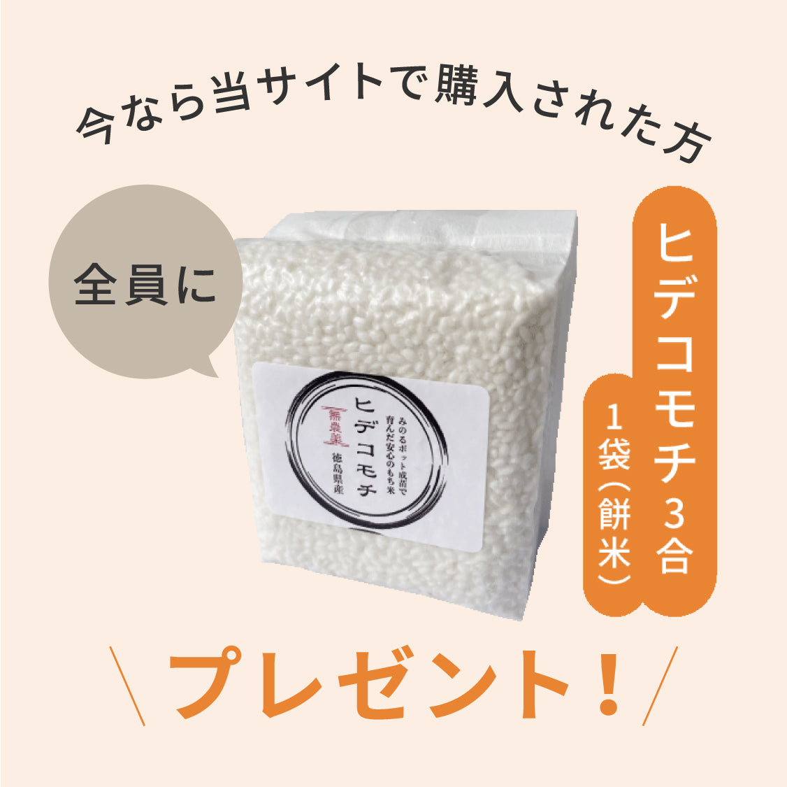 3合餅つき機 つき姫 (ヒデコモチ1袋付き)