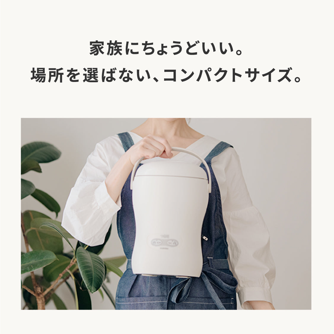 3合餅つき機 つき姫