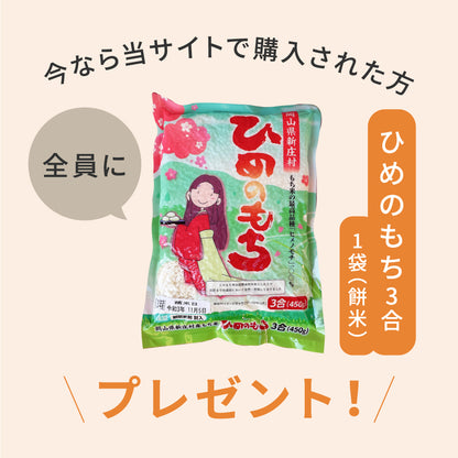 3合餅つき機 つき姫 （ひめのもち1袋付き）