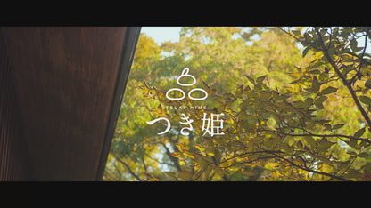 3合餅つき機 つき姫